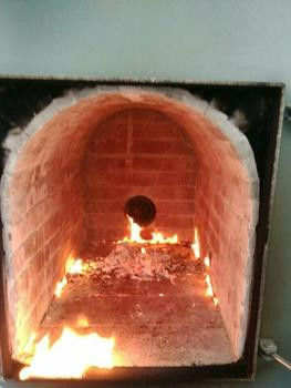 3000 kg Incineradores para animais domésticos para eliminação de carcaças de animais sem fumo e inofensivas