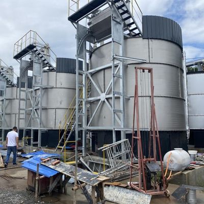 Equipamento de aço inoxidável para processamento de estrume orgânico de esterco bovino e ovino
